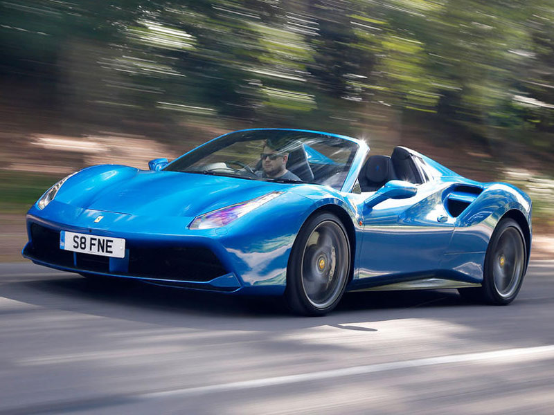 488-spieder-web-024