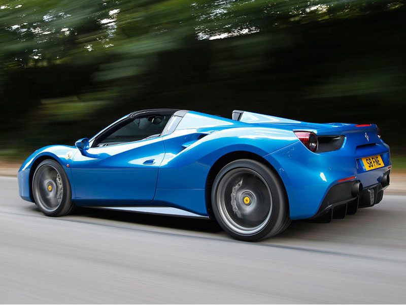 488-spieder-web-025