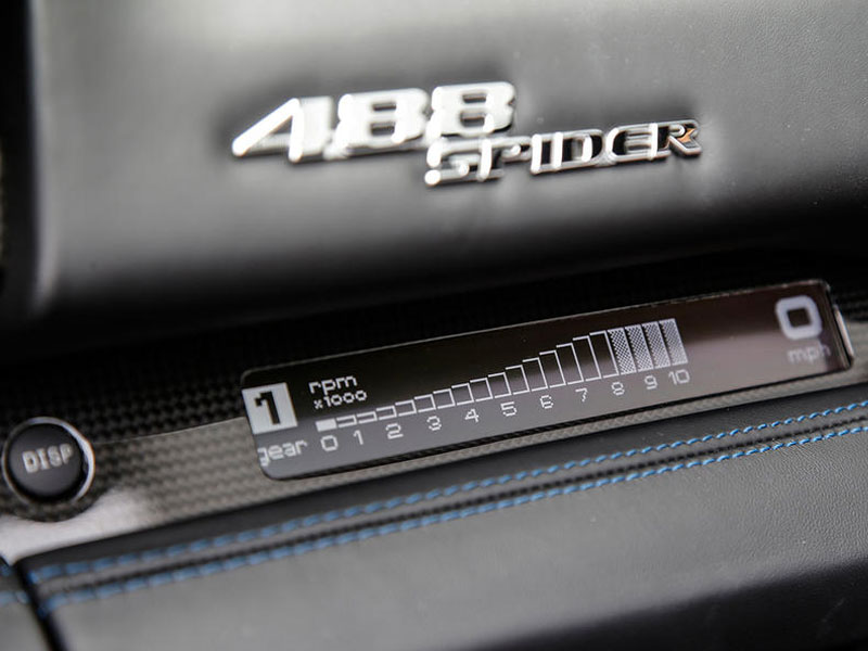 488-spieder-web-031